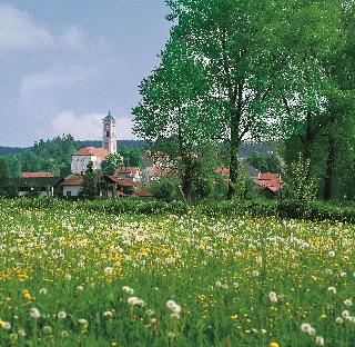 Best Western Aparthotel Birnbachhoehe fotoÄŸrafÄ±