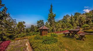 Puncak Pass Resort fotoÄŸrafÄ±