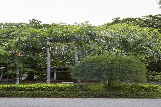 Villa Navin fotoÄŸrafÄ±
