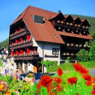 Schwarzwaldhof otel fotoğrafı