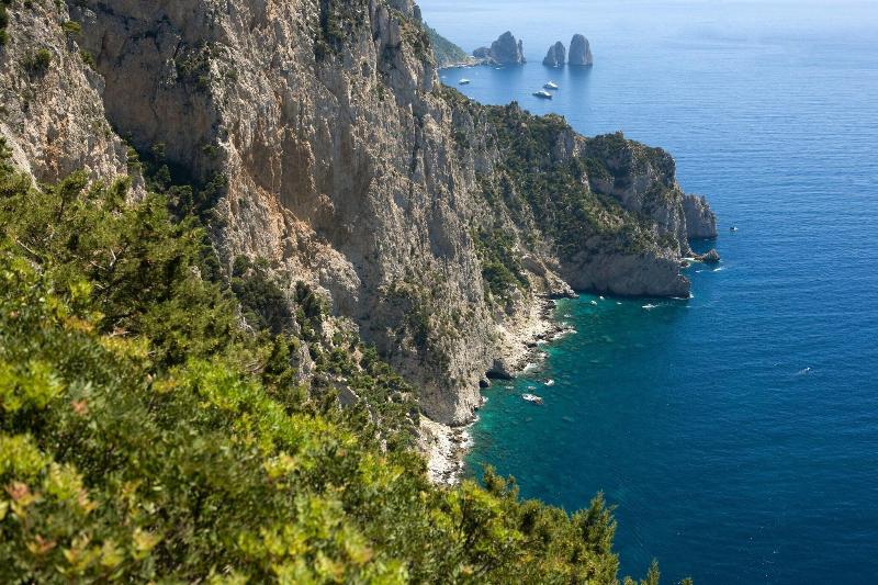 Villa Ceselle - Genel