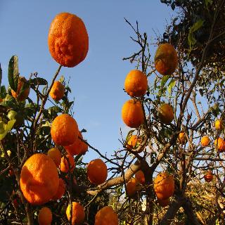 Verde Mar fotoÄŸrafÄ±
