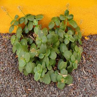 Verde Mar fotoÄŸrafÄ±