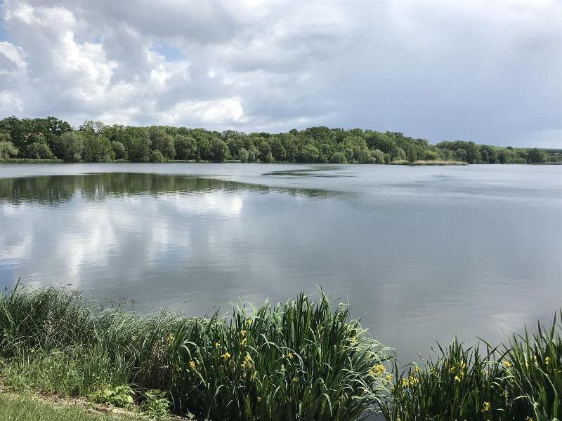 Svornost - Aktivite