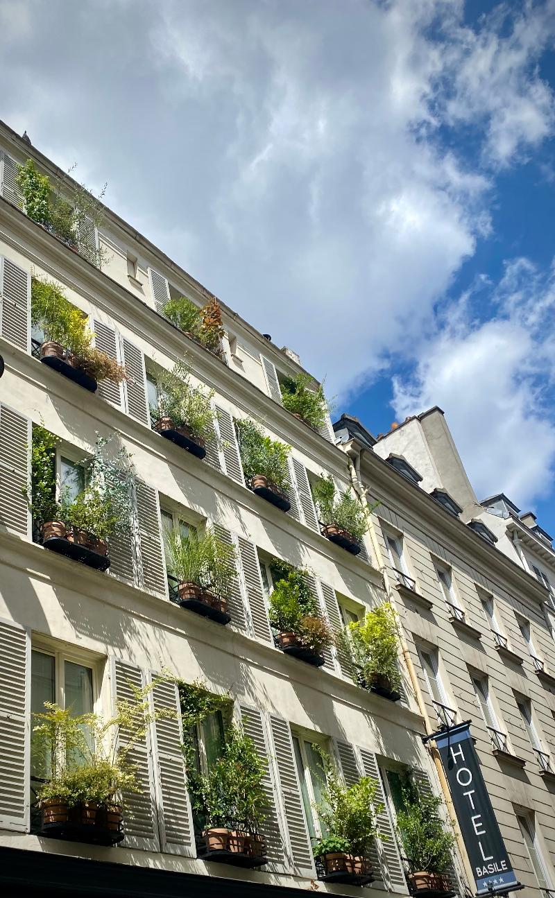 Le Basile Hotel - Genel