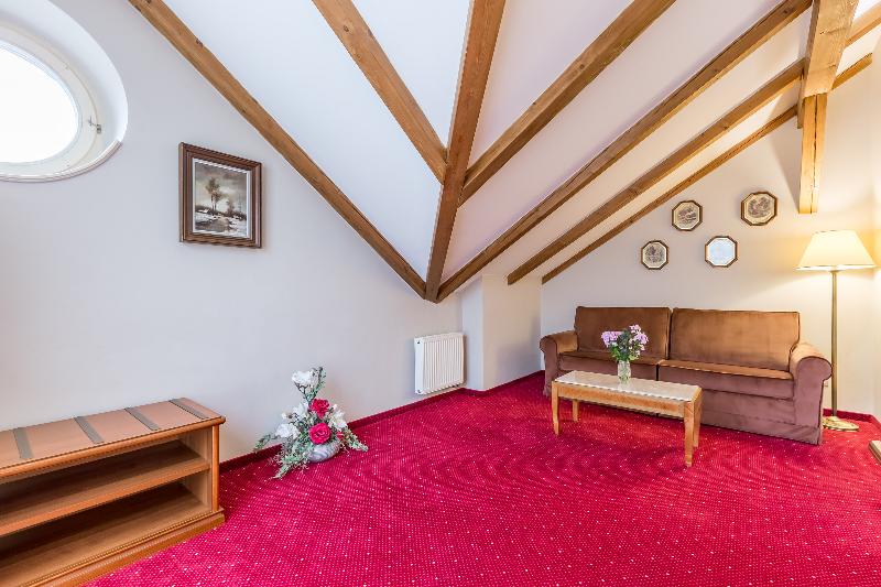 Hotel Caruso Old Town Prague - Oda