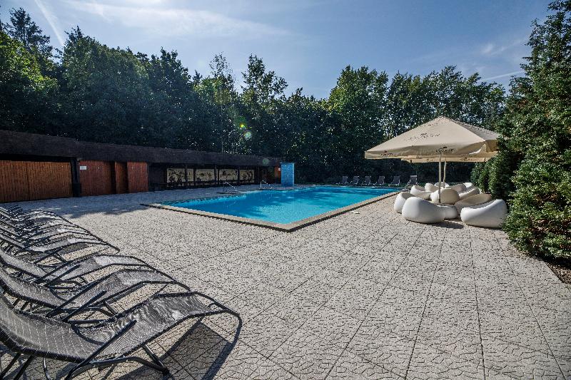 Parkhotel Plzen Congress Center - Havuz