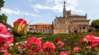 Palace Hotel Bussaco otel fotoğrafı