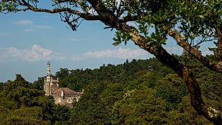 Palace Hotel Bussaco fotoÄŸrafÄ±