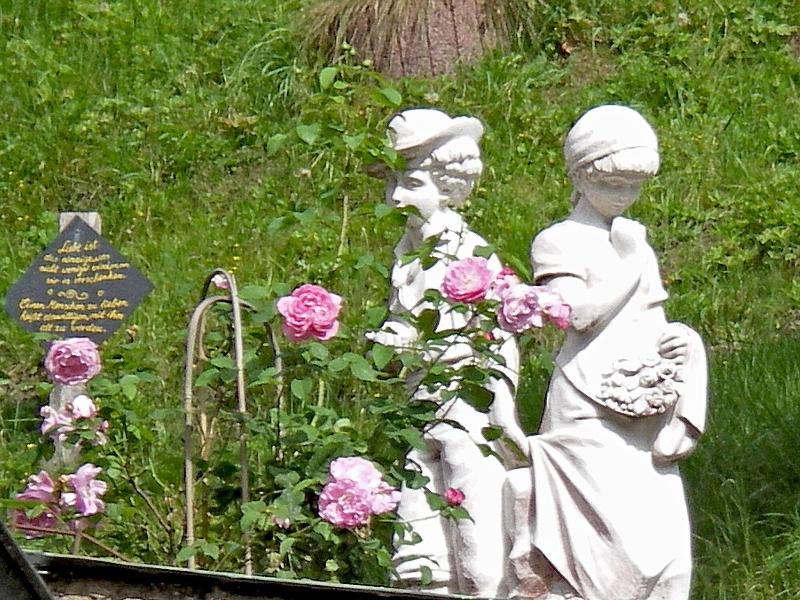 Weingärtner - Genel