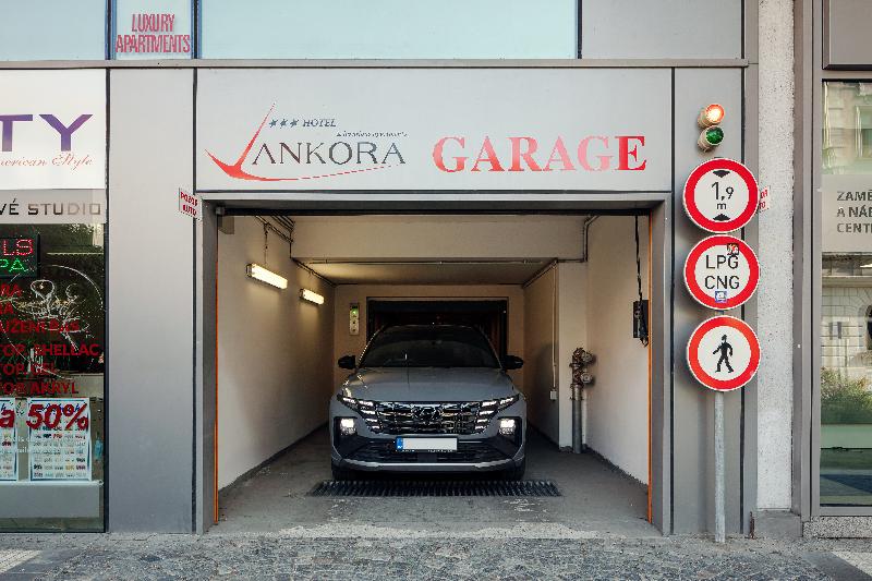 Ankora - Genel