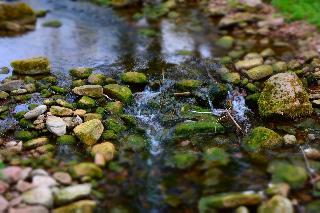Hochwald fotoÄŸrafÄ±