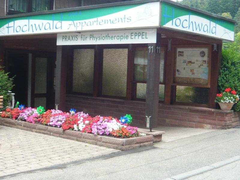 Hochwald - Genel