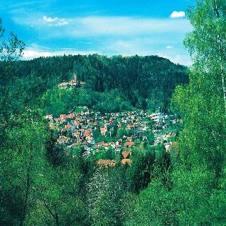Hochwald fotoÄŸrafÄ±