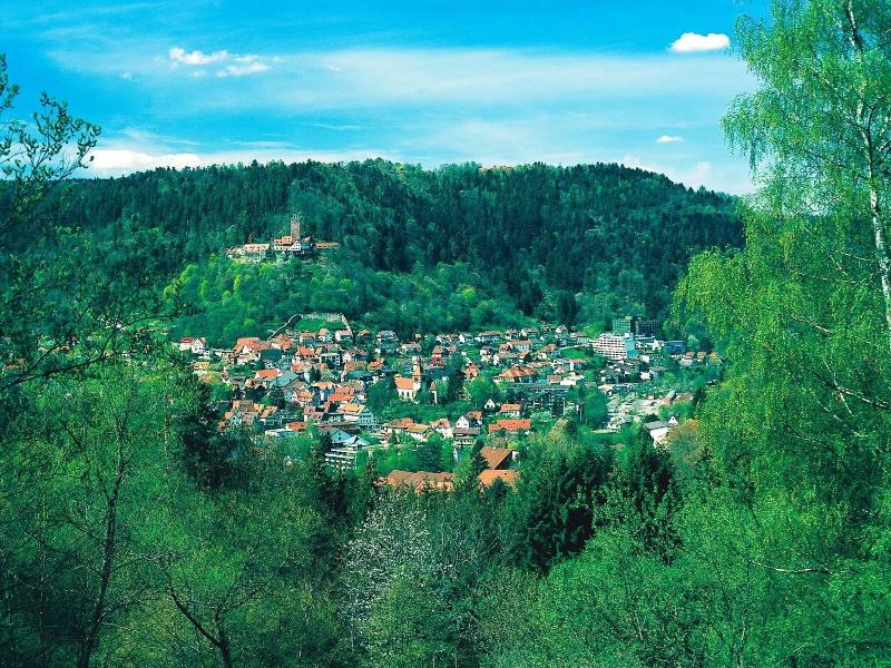 Hochwald - Oda
