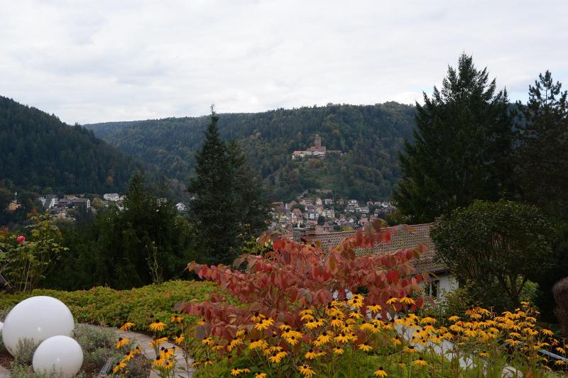Hochwald - Oda
