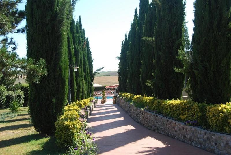 Fattoria Belvedere - Genel