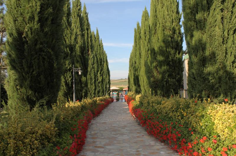 Fattoria Belvedere - Genel