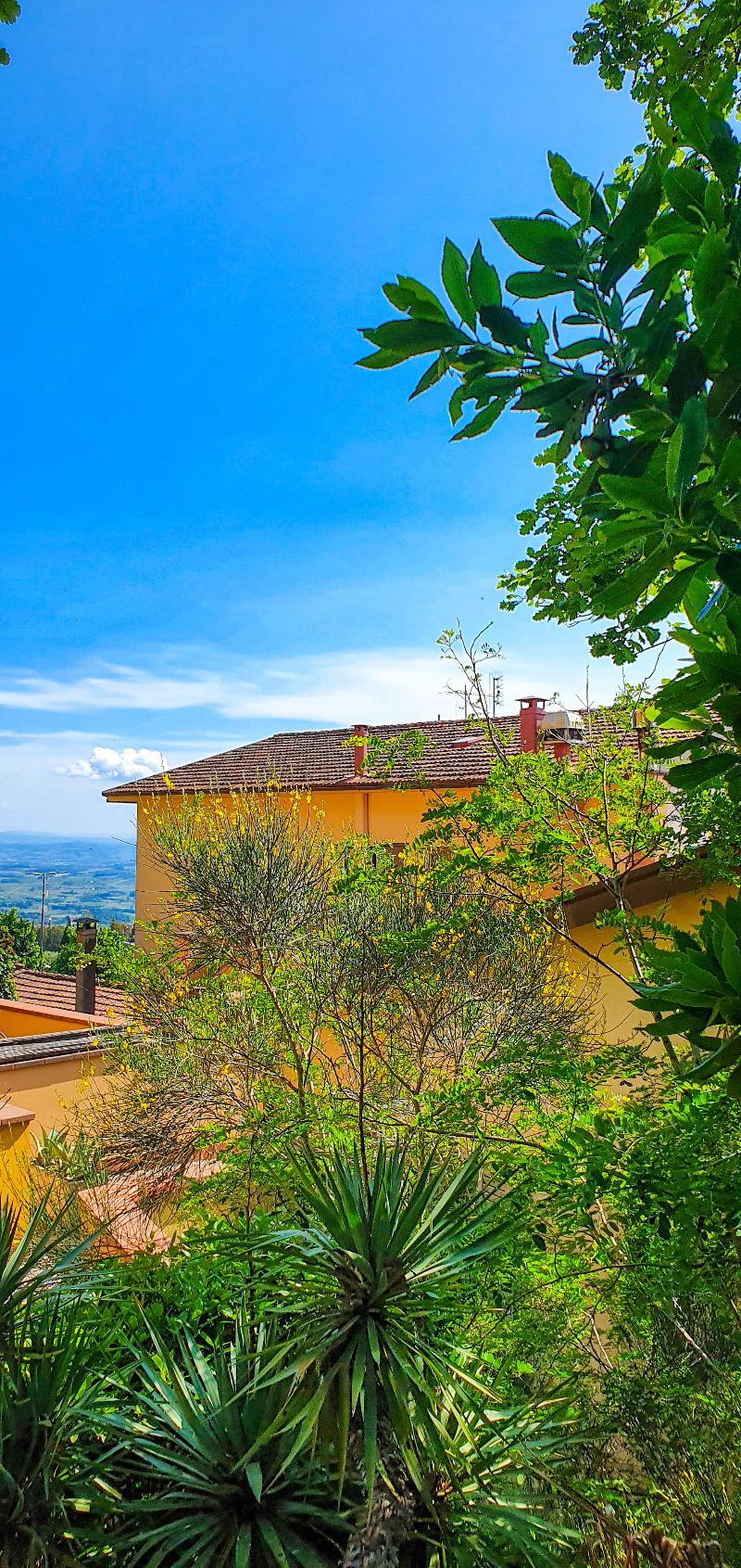 Bellavista Hotel & Restaurant - Teras