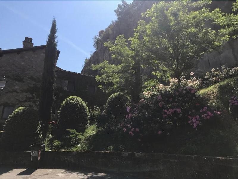 Misia Country Resort & Spa - Genel