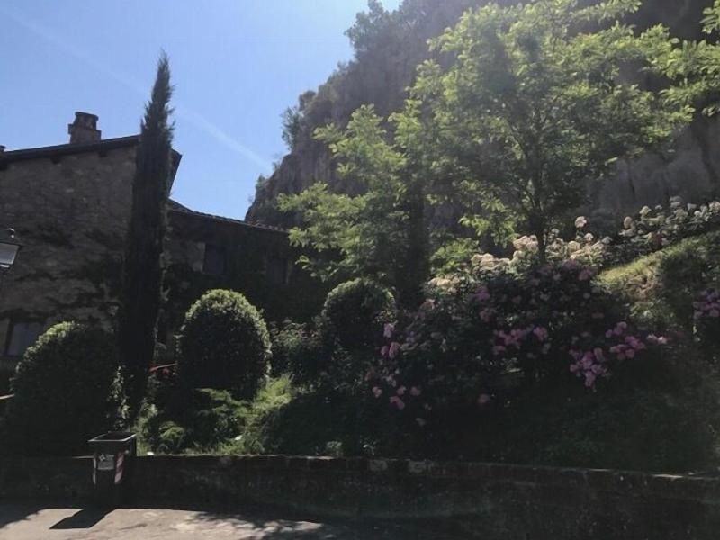 Misia Country Resort & Spa - Genel