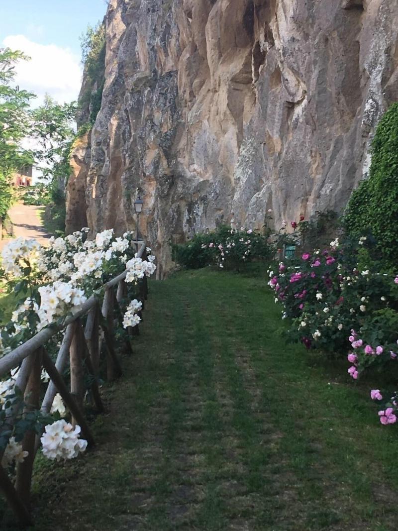 Misia Country Resort & Spa - Genel
