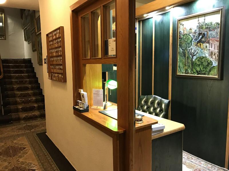 Antik Hotel Sofia Litomysl - Lobi