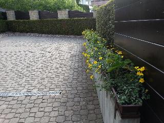 Antik Hotel Sofia Litomysl fotoÄŸrafÄ±