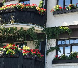 Antik Hotel Sofia Litomysl fotoÄŸrafÄ±