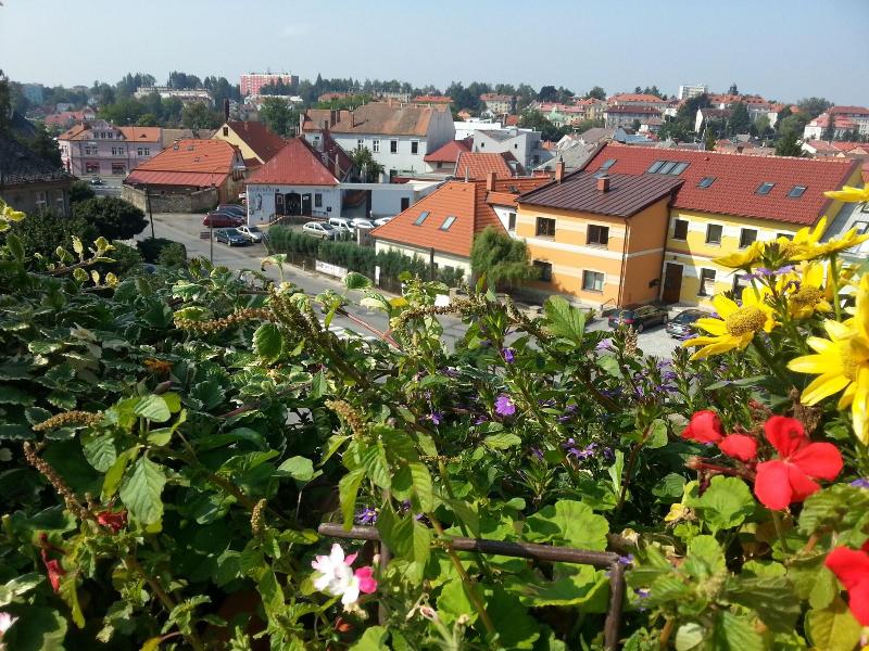 Antik Hotel Sofia Litomysl - Genel