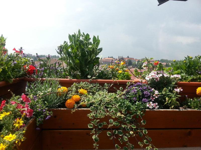 Antik Hotel Sofia Litomysl - Genel