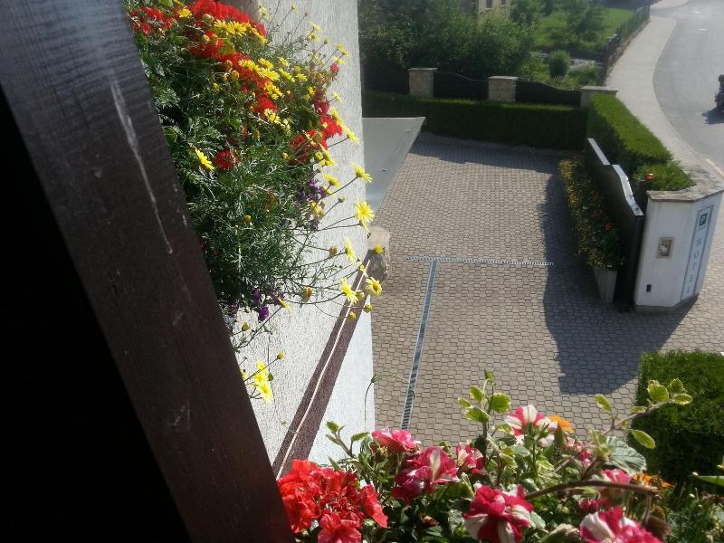 Antik Hotel Sofia Litomysl - Genel
