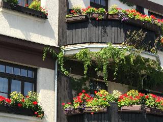 Antik Hotel Sofia Litomysl fotoÄŸrafÄ±