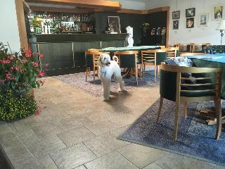 Antik Hotel Sofia Litomysl fotoÄŸrafÄ±