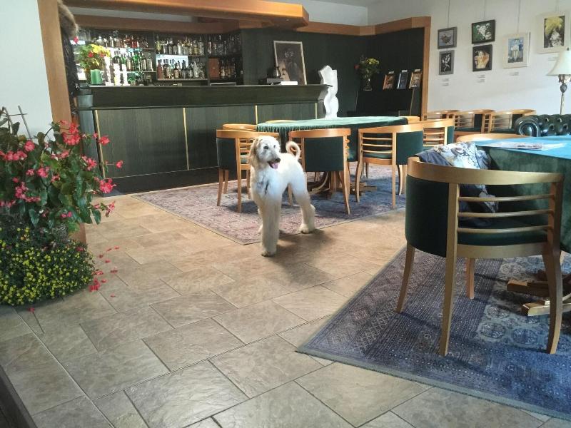 Antik Hotel Sofia Litomysl - Oda