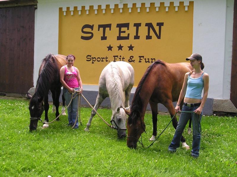 Stein Resort - Aktivite