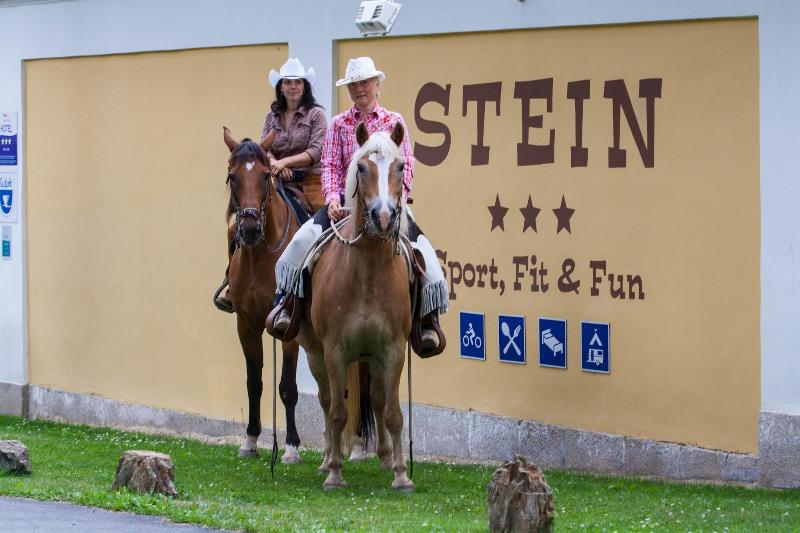 Stein Resort - Aktivite