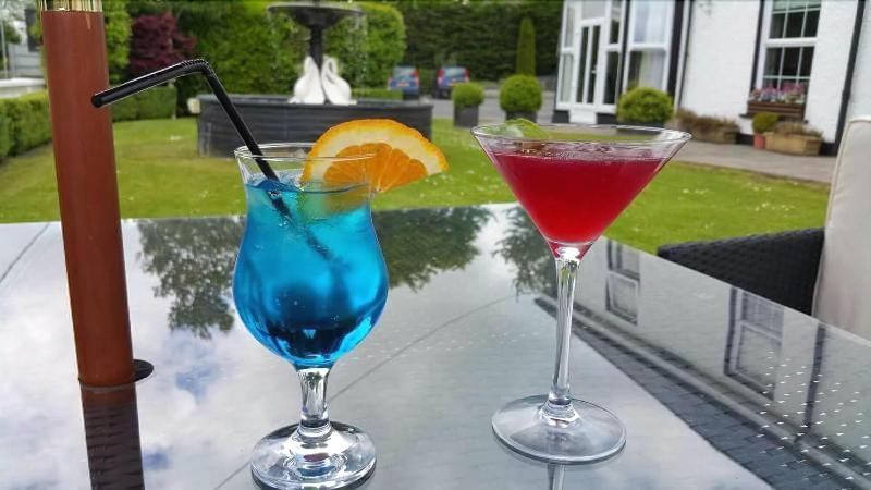 Plas Hyfryd - Bar