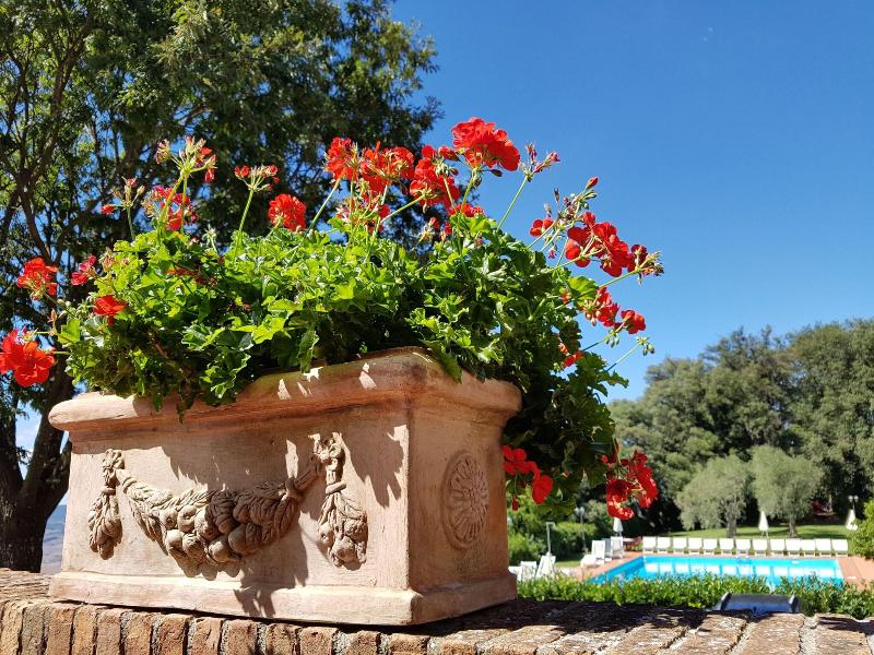 Albergo Villa Nencini - Genel