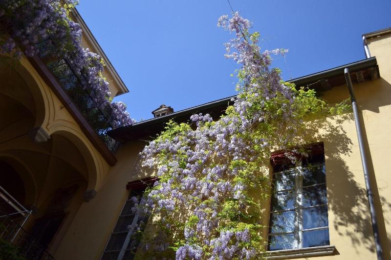 Palazzo Dalla Rosa Prati - Genel