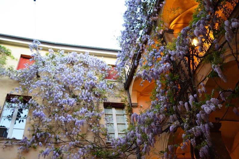 Palazzo Dalla Rosa Prati - Teras