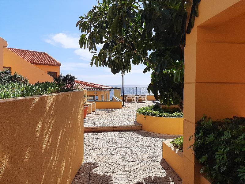 Cais da Oliveira - Teras