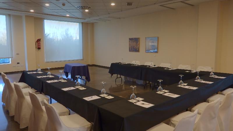 Flag Hotel Valencia - Toplantı