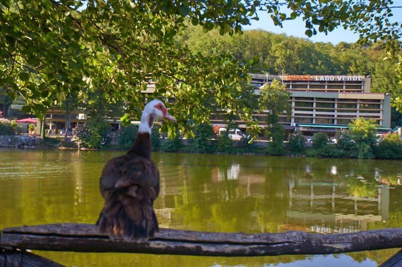 Lago Verde - Aktivite