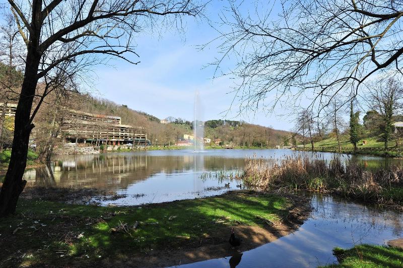 Lago Verde - Genel