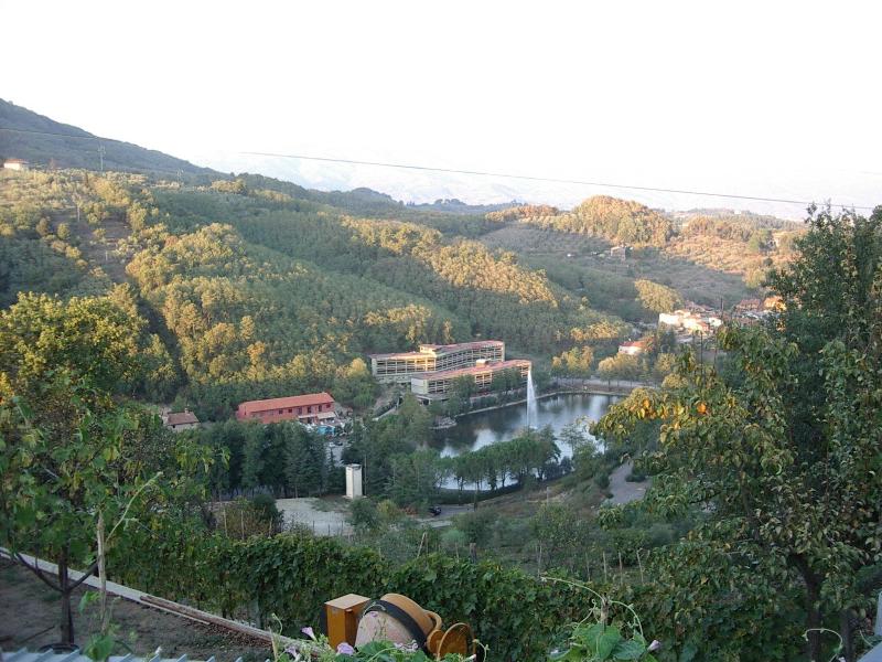 Lago Verde - Genel