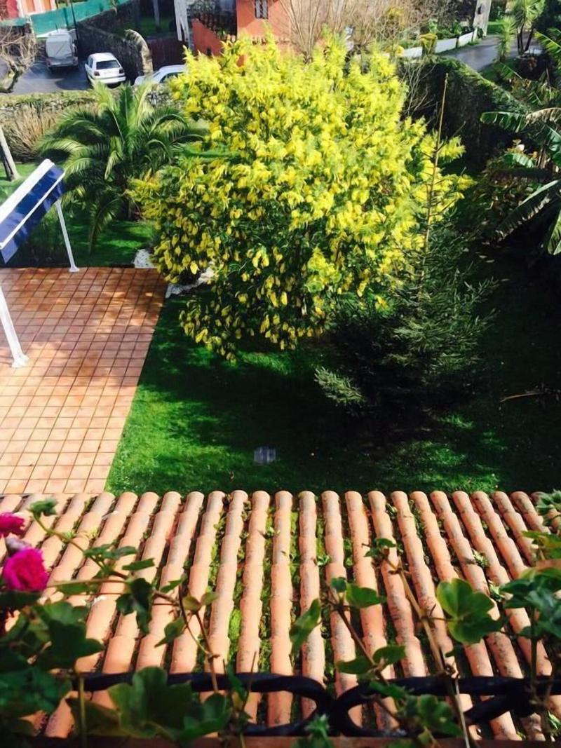 La Casona de Nueva - Teras