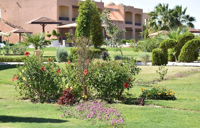 Wadi Lahmy Azur Resort - Genel