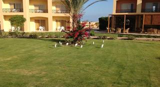 Wadi Lahmy Azur Resort fotoÄŸrafÄ±