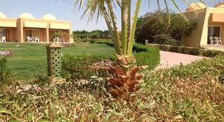 Wadi Lahmy Azur Resort fotoÄŸrafÄ±